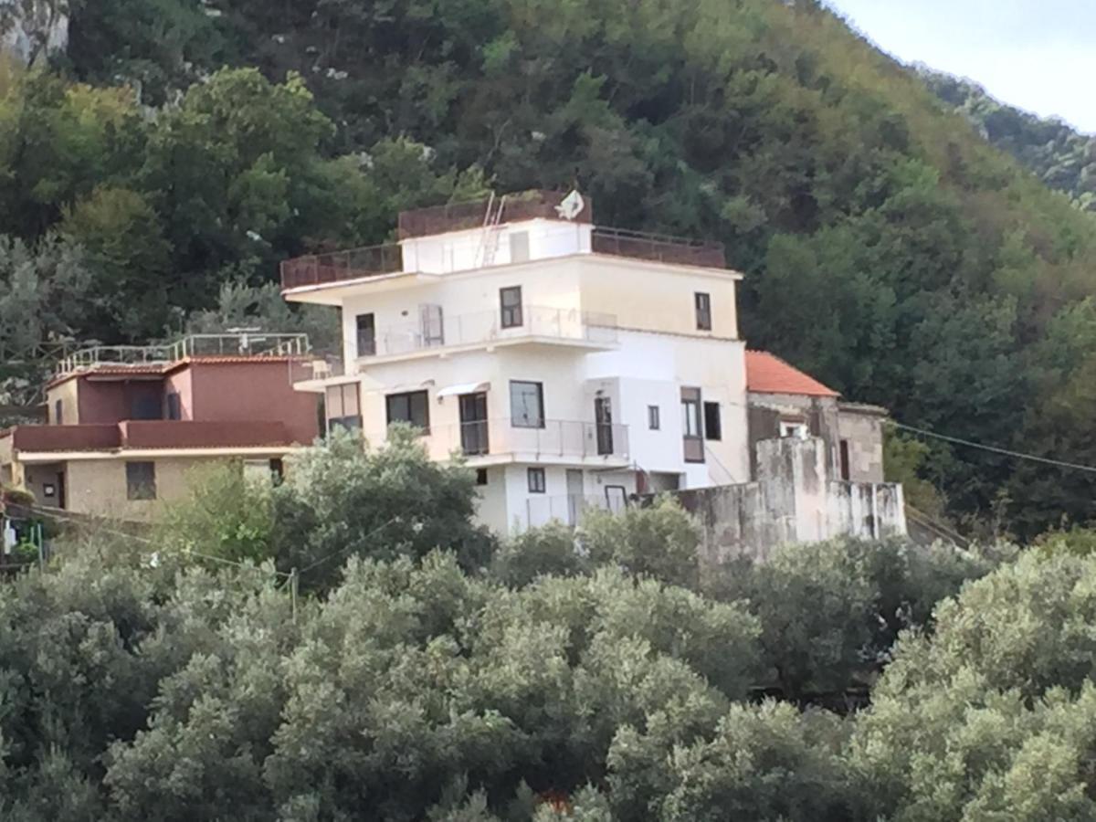 Villa A Plane In The Sky Castellammare di Stabia Exterior foto