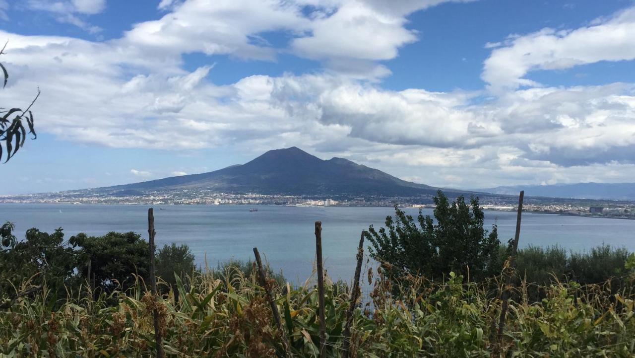 Villa A Plane In The Sky Castellammare di Stabia Exterior foto